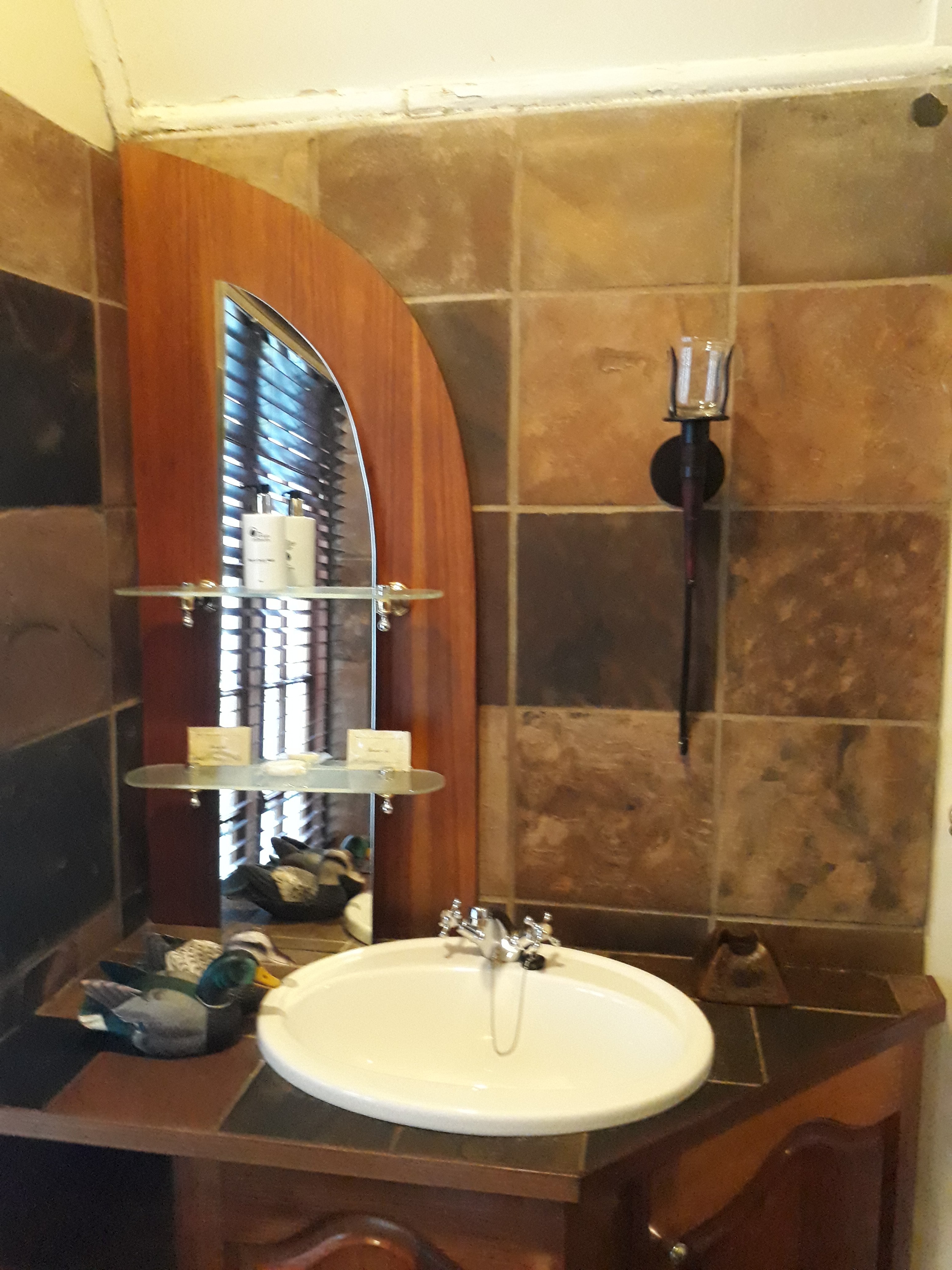 Serenity Green Guesthouse-官方