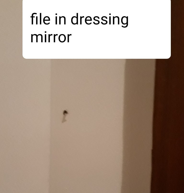 The Lalit Traveller Hotel主图