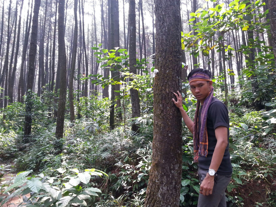 Mount Pancar Park-茂物必去景点