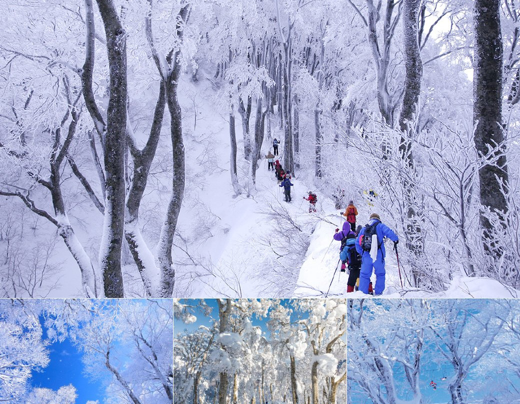 Daisen Tour Desk-大山町必去景点
