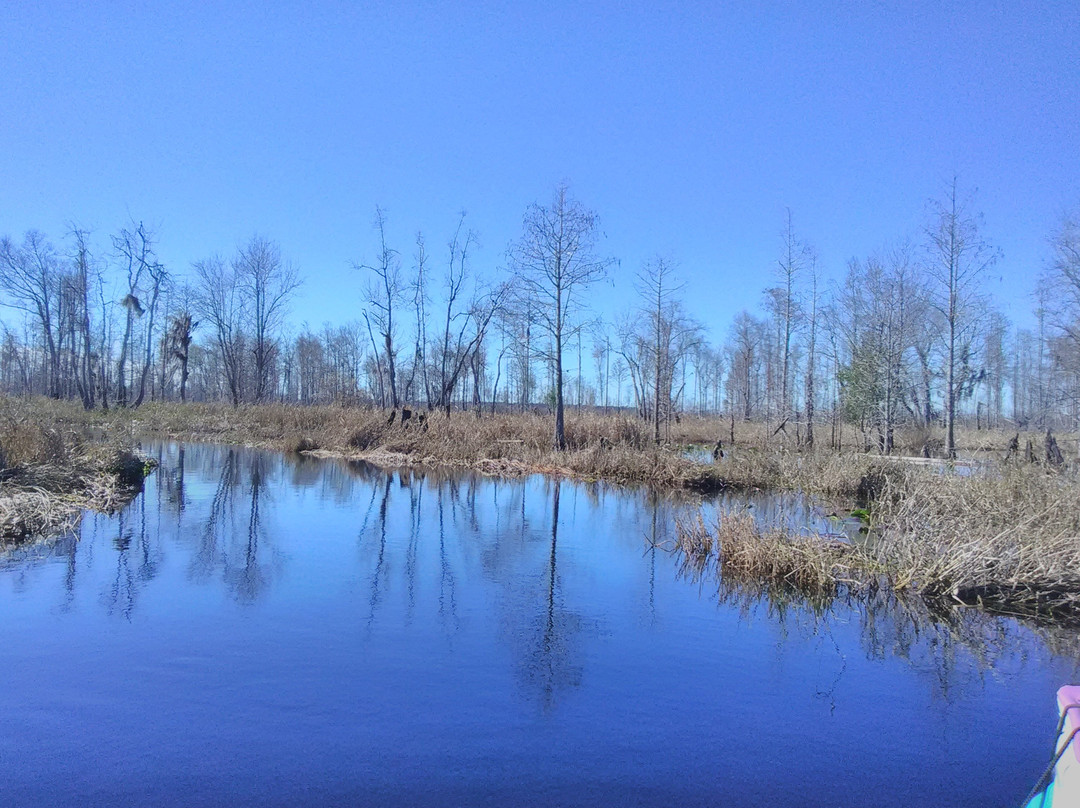 Griffis Fish Camp-Fargo必去景点