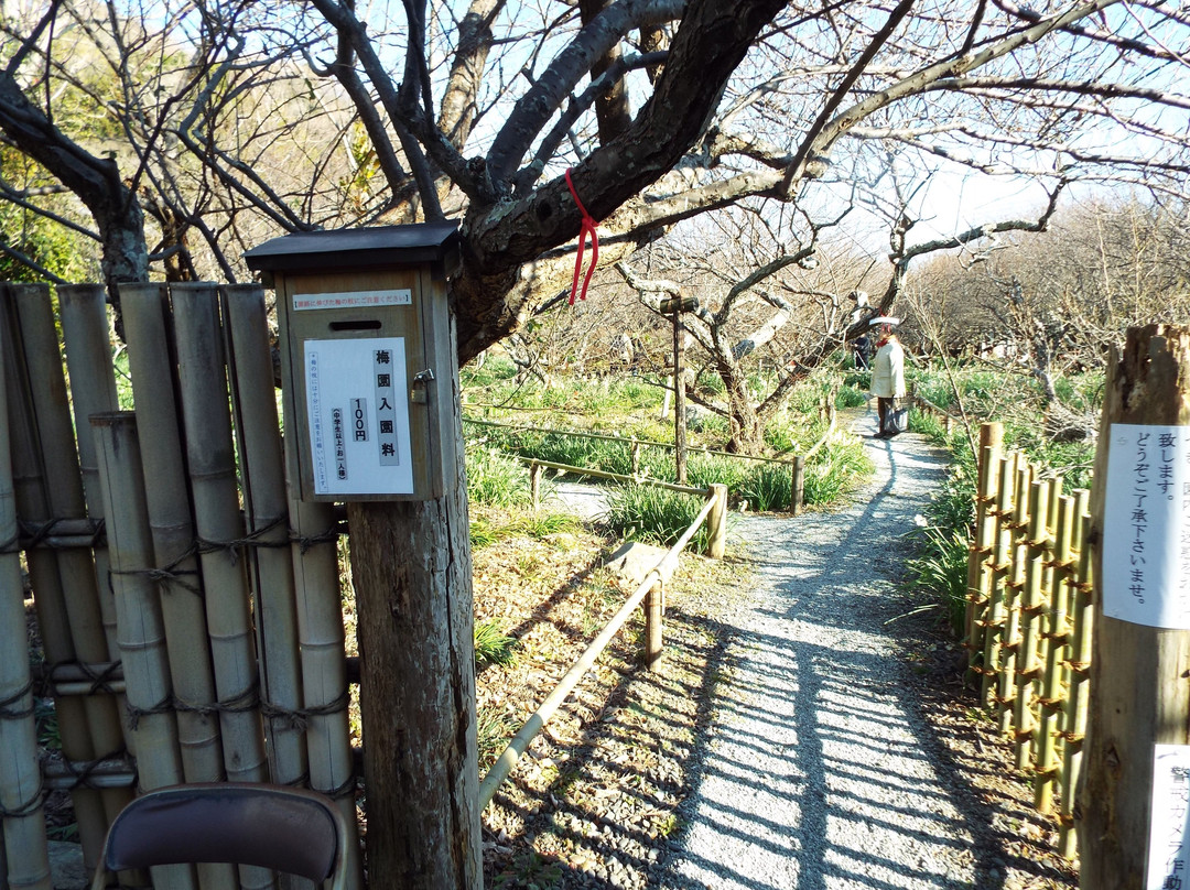 Soho Tokutomi Museum-二宫町必去景点