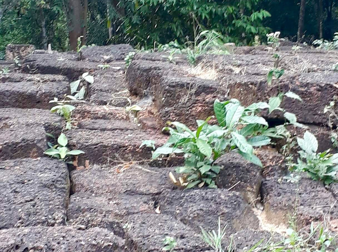 Kulen Nature Trails景点图片