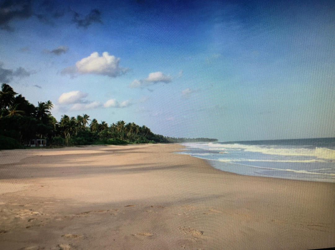 Sri Lanka Amal Tours-品纳维拉必去景点