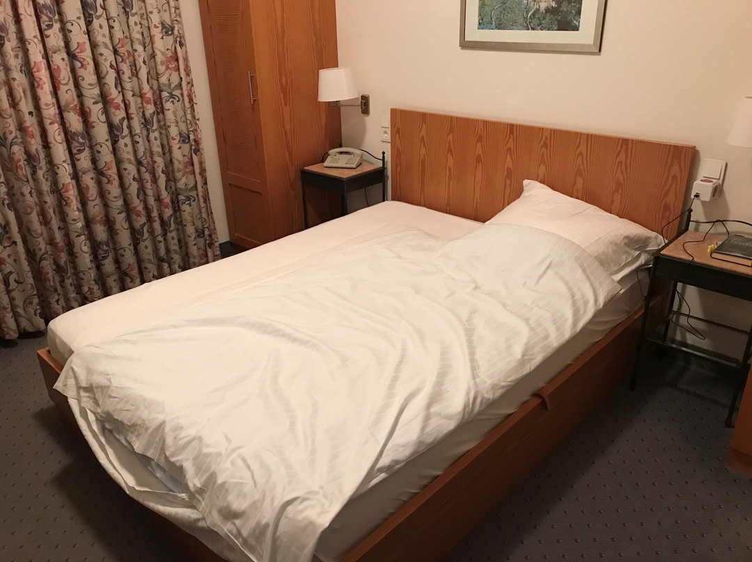Hotel-gasthof Zur Mühle主图