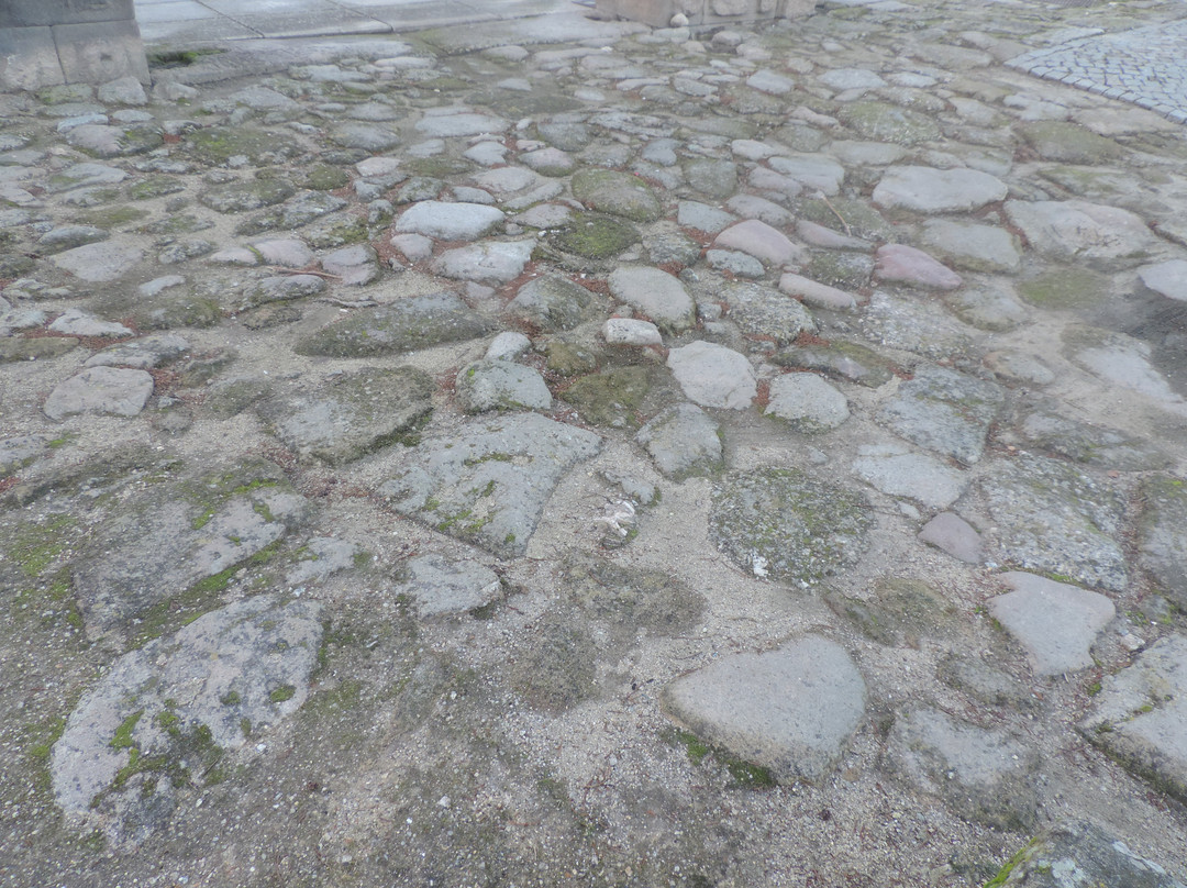 Ruinas Romanas de Bobadela景点图片