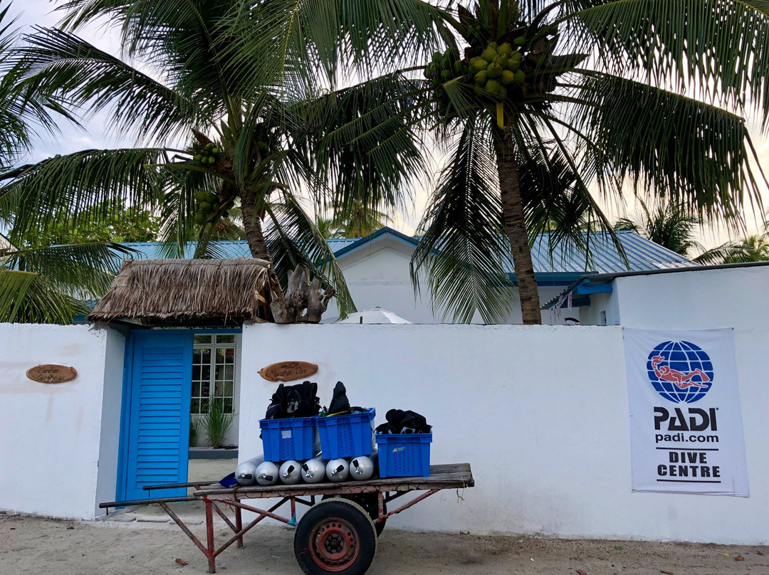 Tiny Island Maldives主图