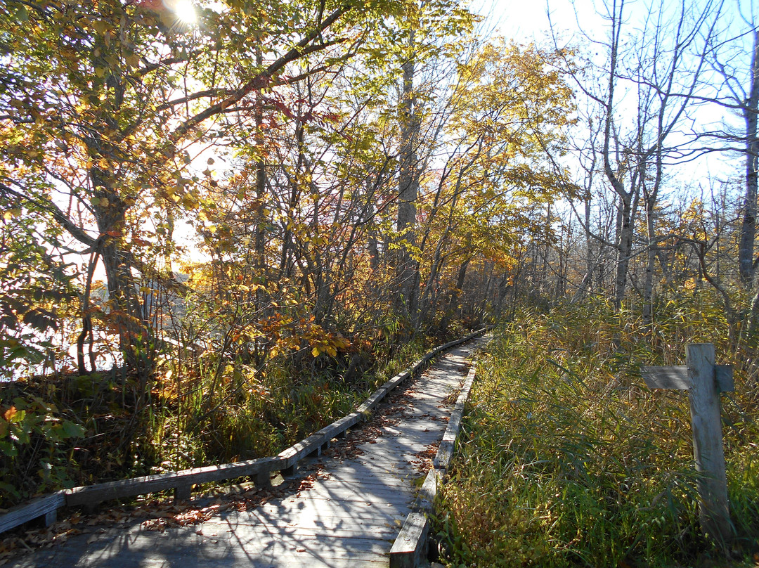 Wakoto Natural Trail-弟子屈町必去景点