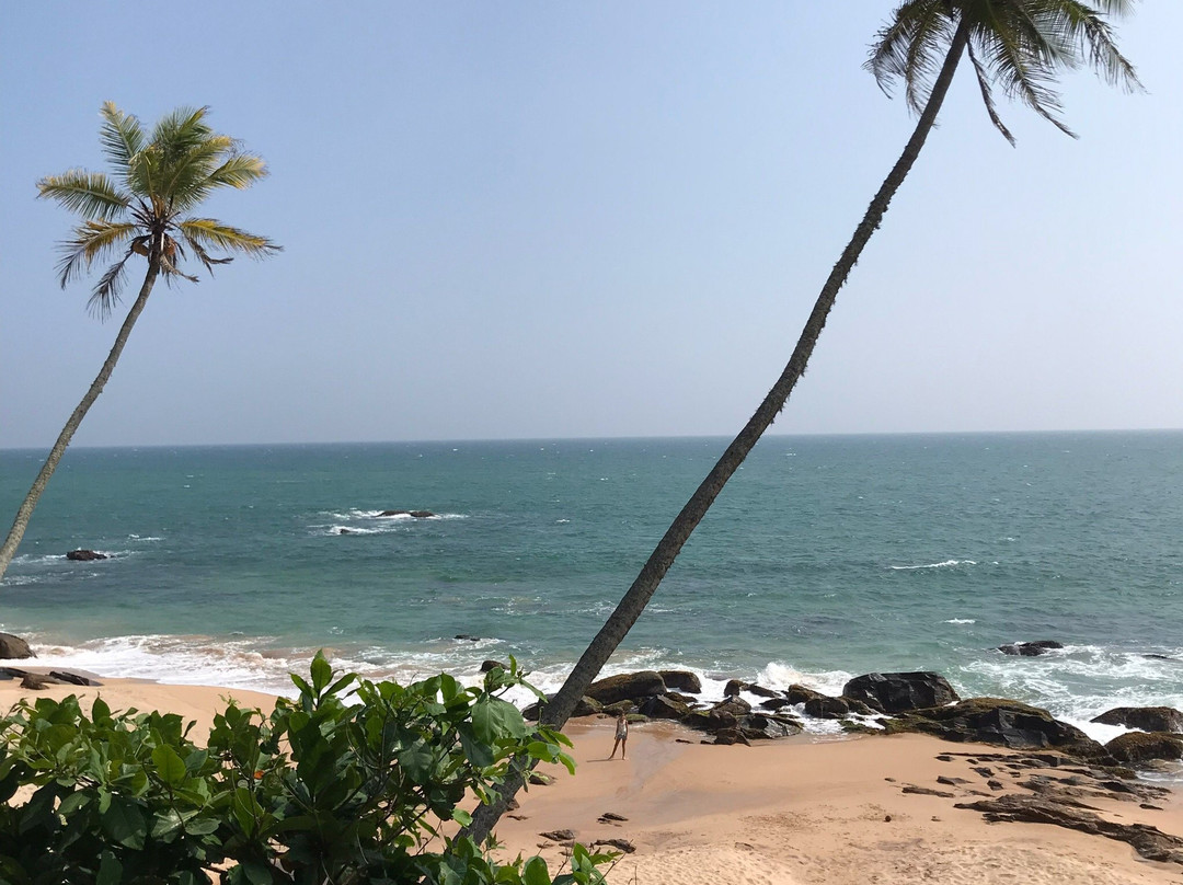 My Driver in Sri Lanka - Day Tours景点图片