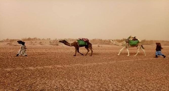 Desert Vacances-迈哈米德必去景点