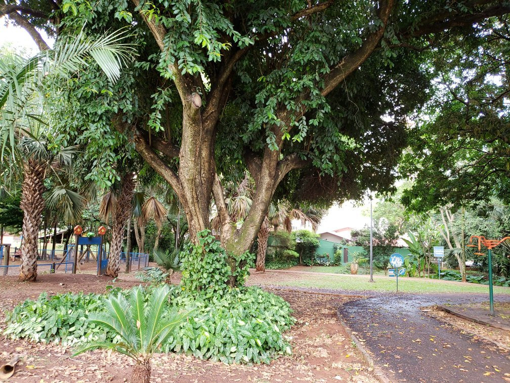 Itanhanga Park景点图片