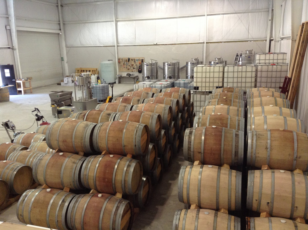 Vinicola Punto & Aparte-El Sauzal de Rodríguez必去景点