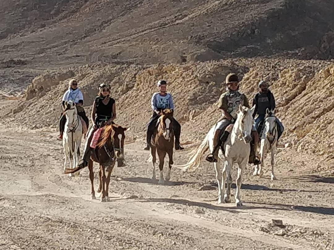 HorseTrips Hurghada景点图片