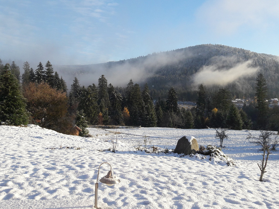 Chalet l'Epinette主图