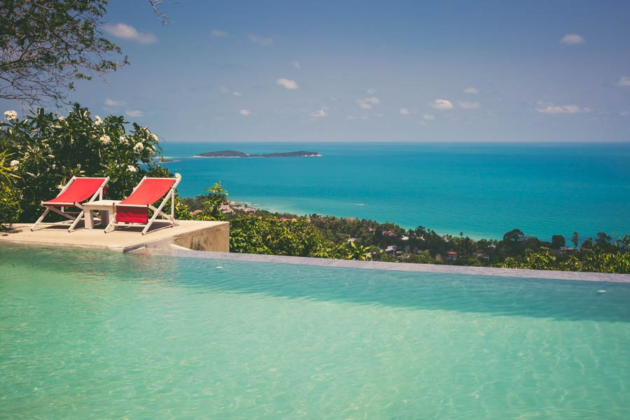 丛林俱乐部主图