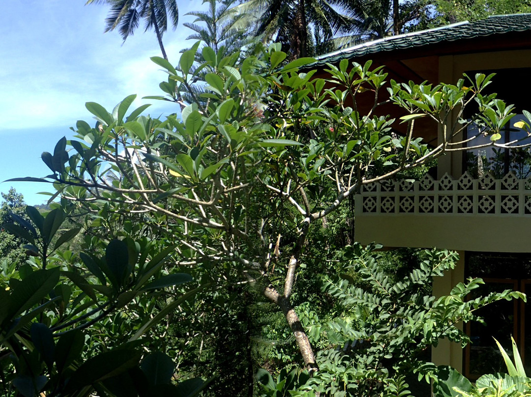 Tangkoko Sanctuary Villa主图