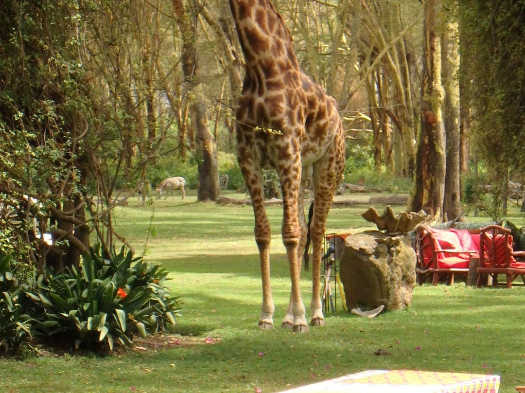 Sirocco Wildlife Sanctuary主图