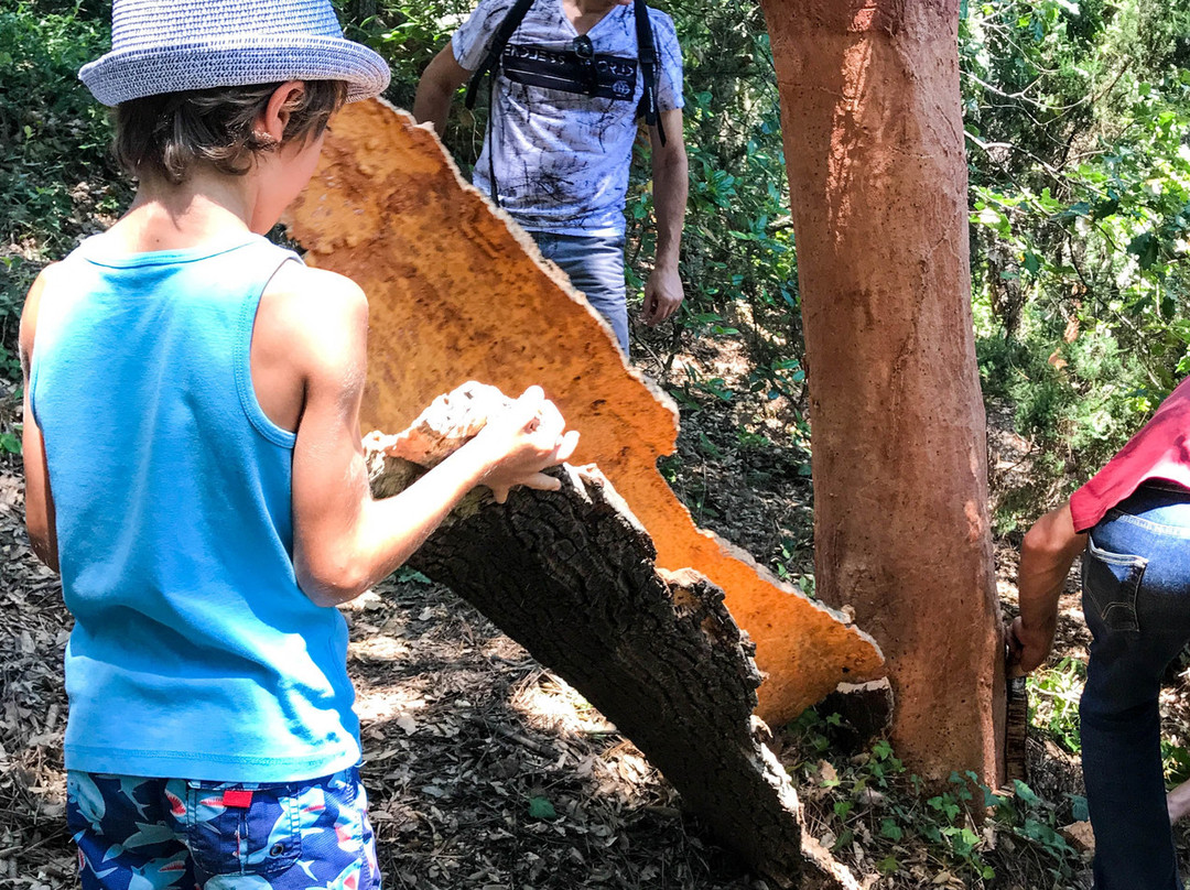 Le Conservatoire du Patrimoine de La Garde-Freinet-La Garde-Freinet必去景点