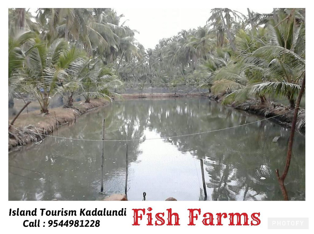Island Tourism Kadalundi景点图片