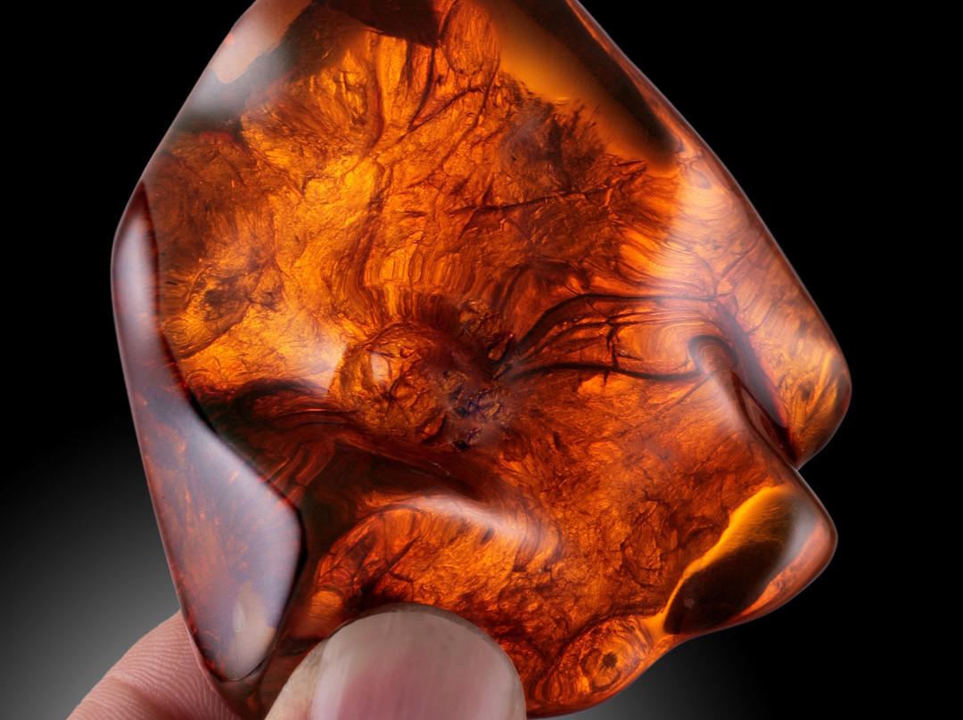 Dave's Down To Earth Rock Shop-埃文斯顿必去景点