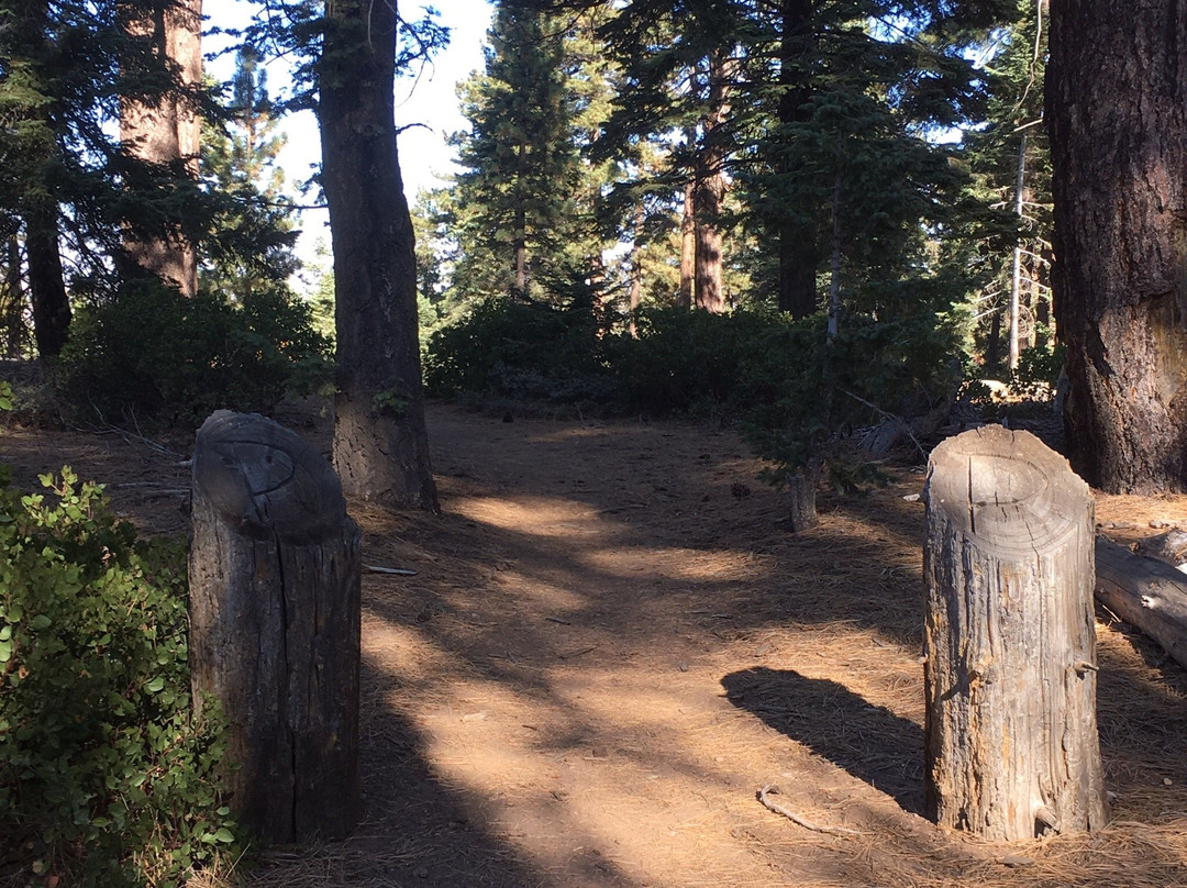 Skyline Trail-大熊湖必去景点