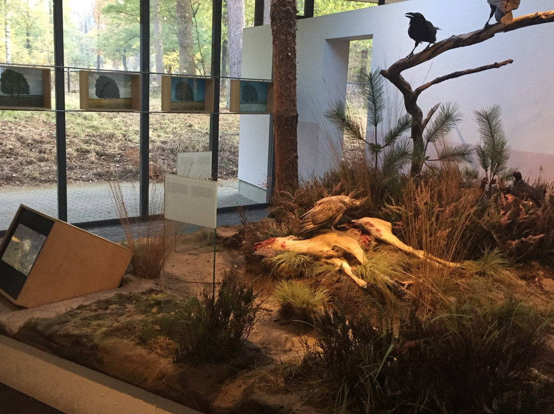 Het Museonder in Nationaal Park de Hoge Veluwe-奥特洛必去景点