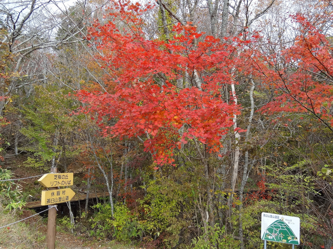 Chausuyama Plateau-丰根村必去景点