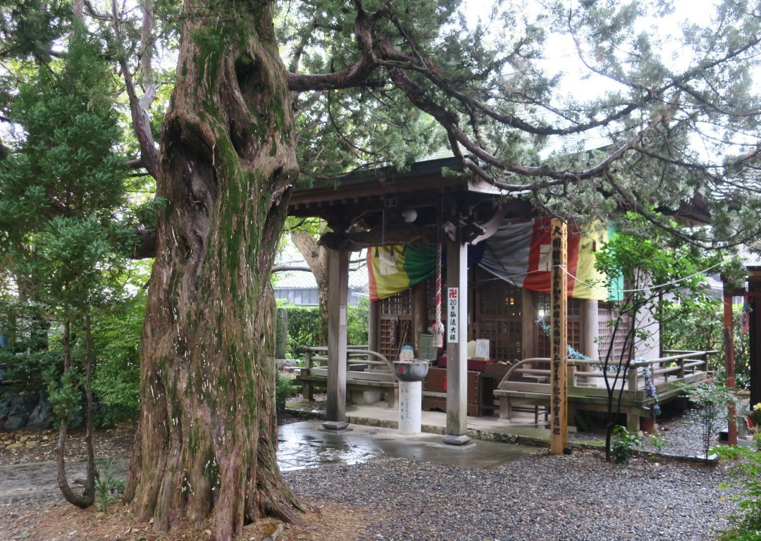 Ryutaiin Temple-半田市必去景点