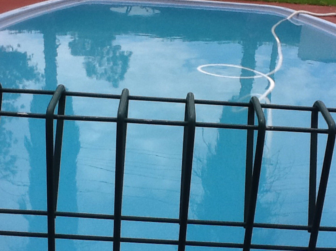 爱丽丝汽车旅馆主图