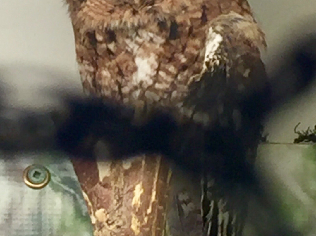 Southern Vermont Natural History Museum-Marlboro必去景点