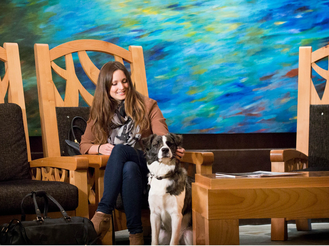 尼塔湖旅舍主图