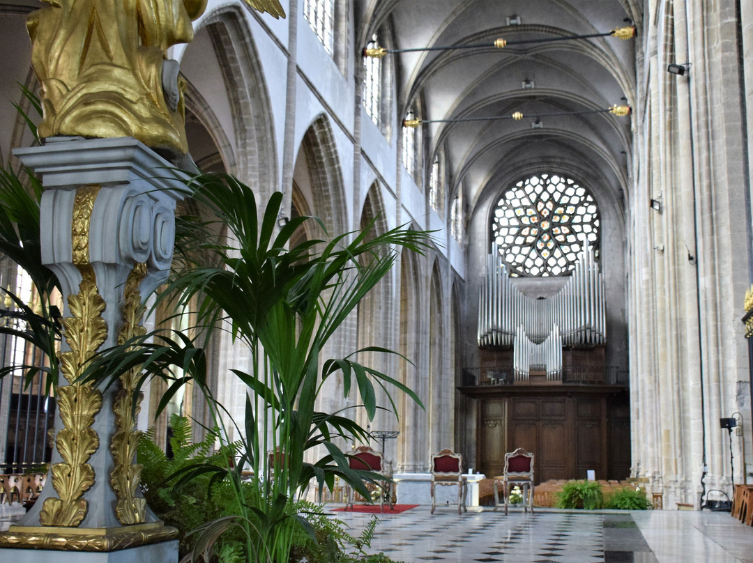 Église Saint-Éloi景点图片