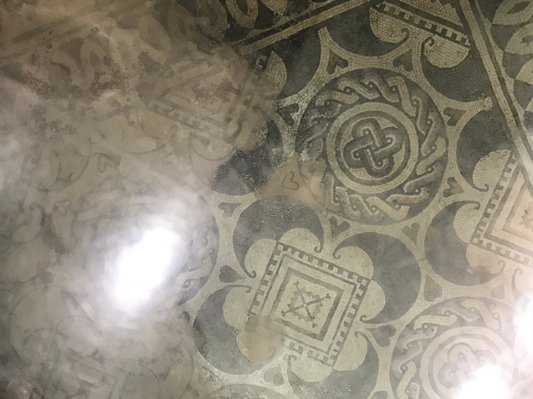 House of Mosaics-卢戈省必去景点