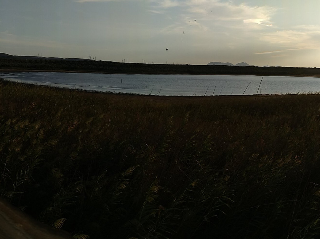 Reserva Natural Laguna del Gosque景点图片