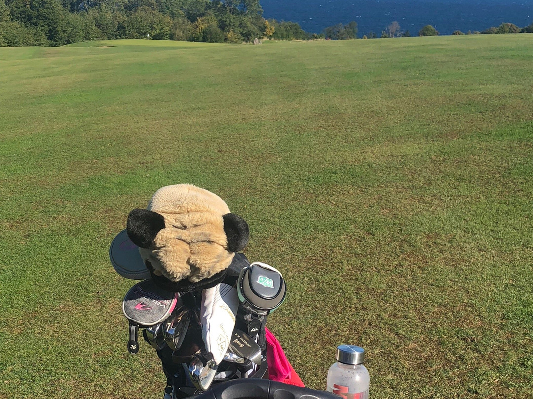 Nordbornholms Golf Klub Rø-Gudhjem必去景点