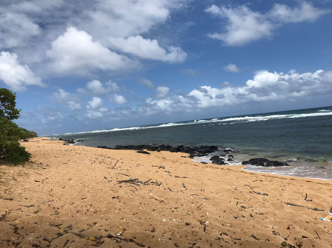 Larsen's Beach景点图片