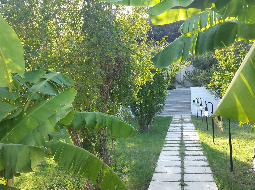 Anastasia's Garden主图