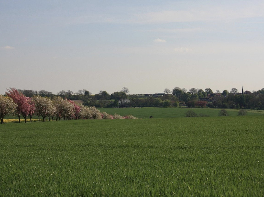 Carters Barn - Home on the Wolds主图