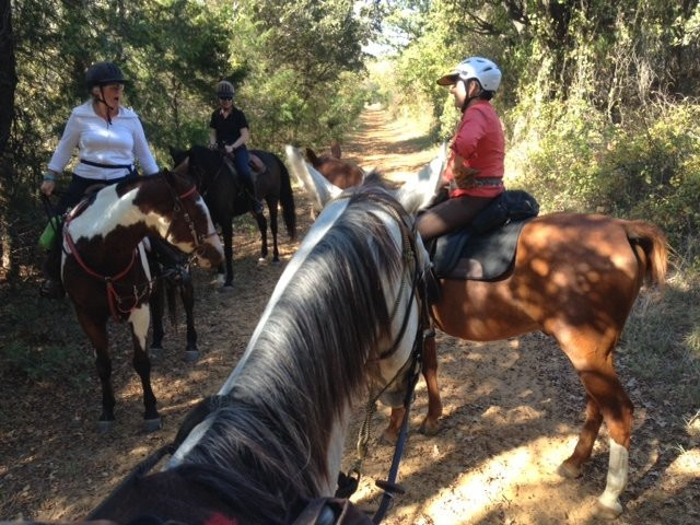 Black Mustang Ranch-Pilot Point必去景点