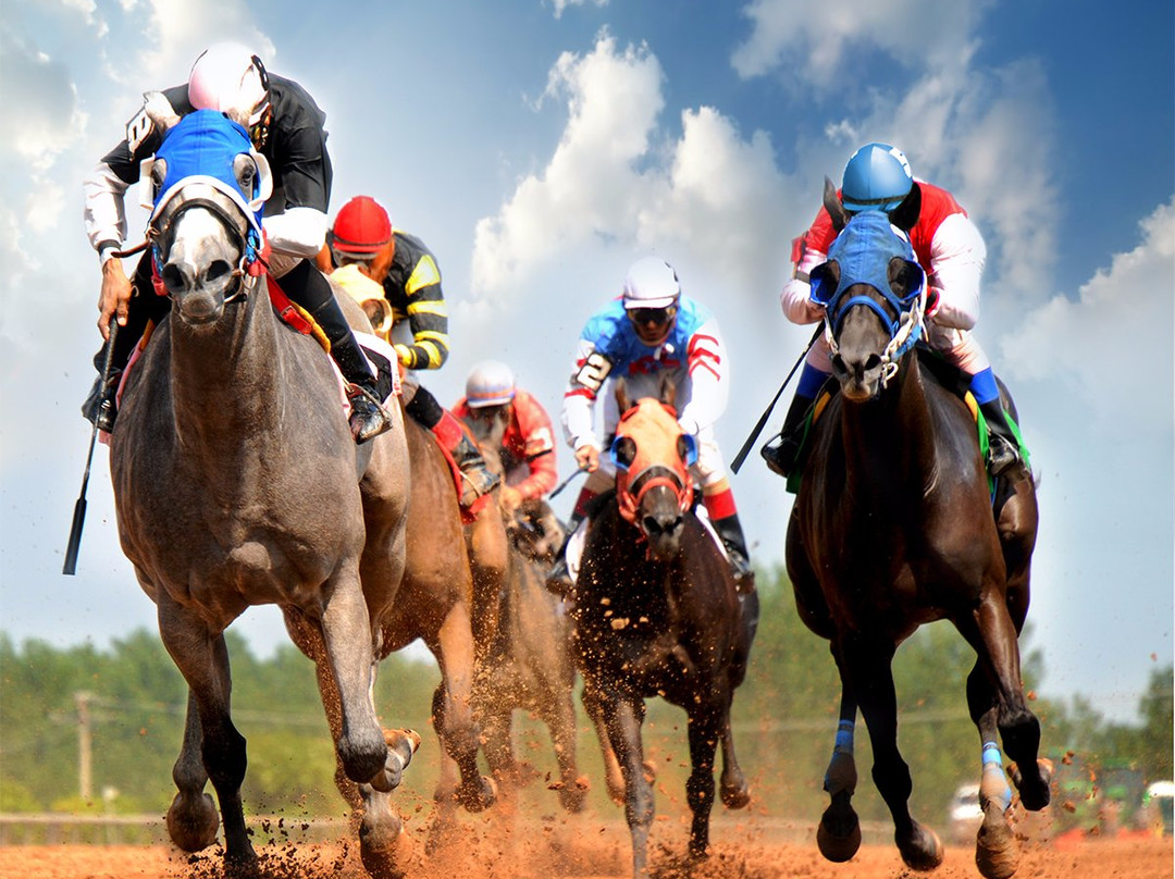 Finger Lakes Gaming & Racetrack-Farmington必去景点