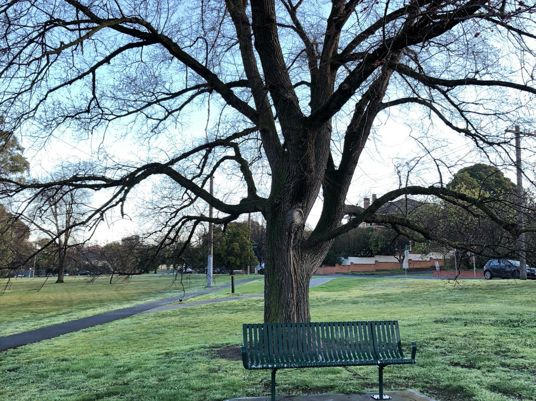 Hartwell Station Reserve Playground-坎伯维尔必去景点