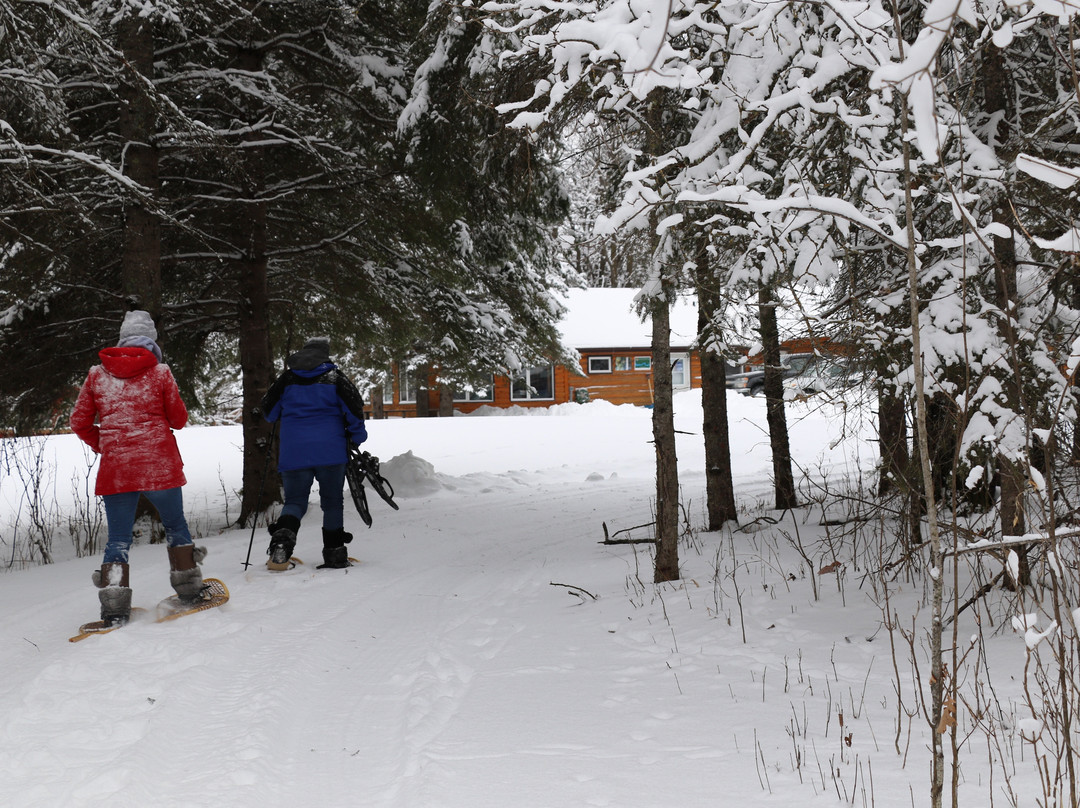 Kay-Nah-Chi-Wah-Nung Historical Centre (Manitou Mounds)-Stratton必去景点
