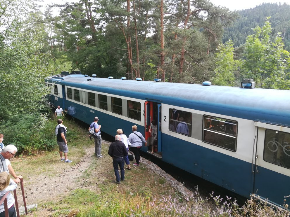 Agrivap Les Trains de la Decouverte景点图片
