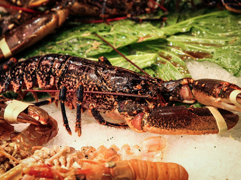 Sardinia by Local Guide-卡利亚里省必去景点