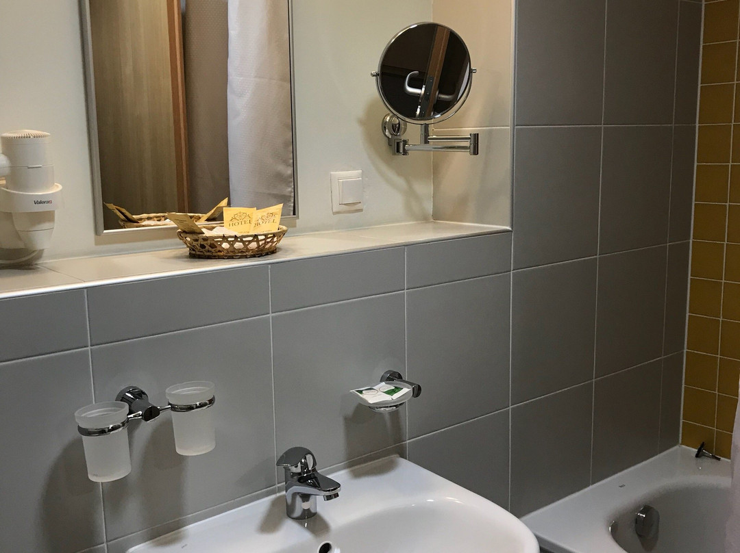 Hotel Bogorodskoe主图