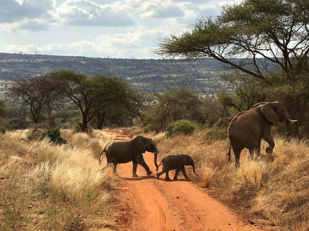 Qta Tours & Safaris-Karen必去景点