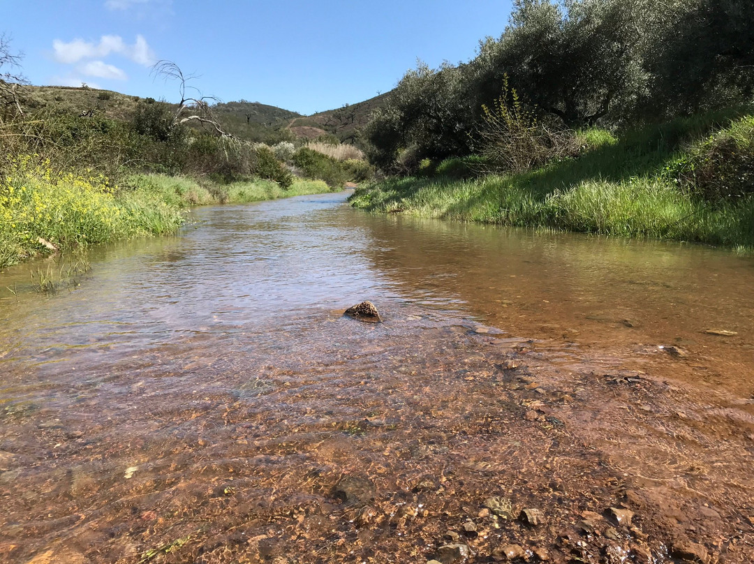 4×4 Adventures Off-Road-阿尔布赞拉必去景点