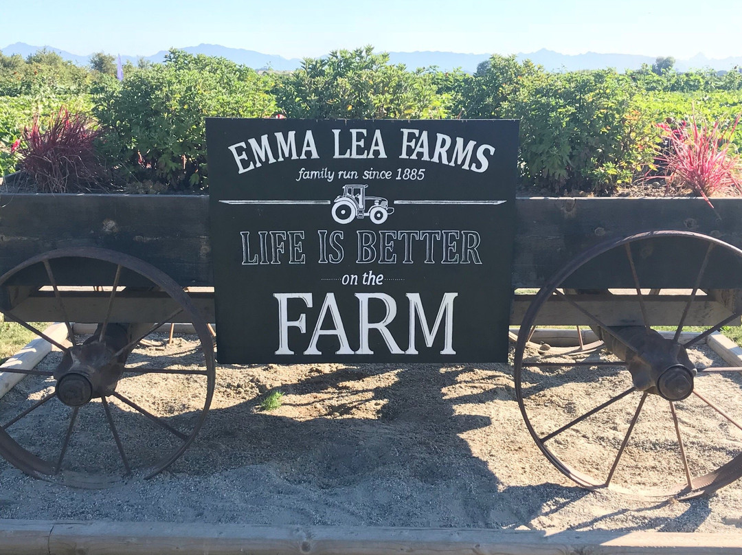 Emma Lea Farms景点图片