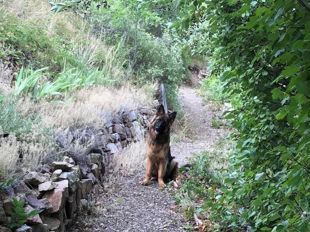 Bed and Breakfast on Mitchell Creek主图