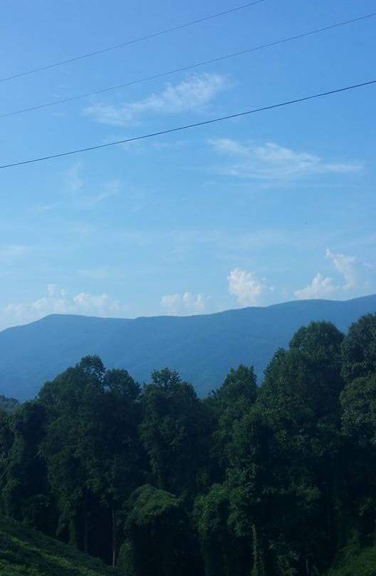 Cohutta Overlook-Ellijay必去景点